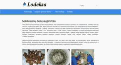 Desktop Screenshot of lodeksa.com
